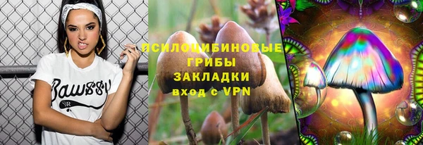 ешки Аркадак
