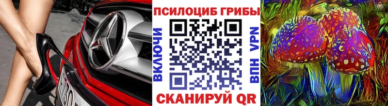 даркнет сайт  Северодвинск  МЕГА   Псилоцибиновые грибы Cubensis 