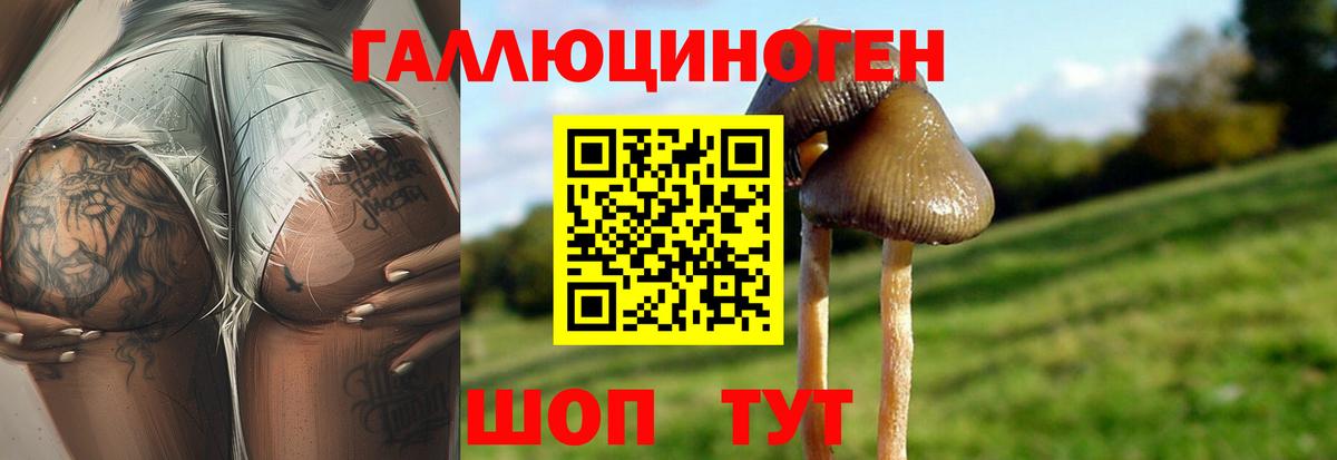 Псилоцибиновые грибы Psilocybe Северодвинск