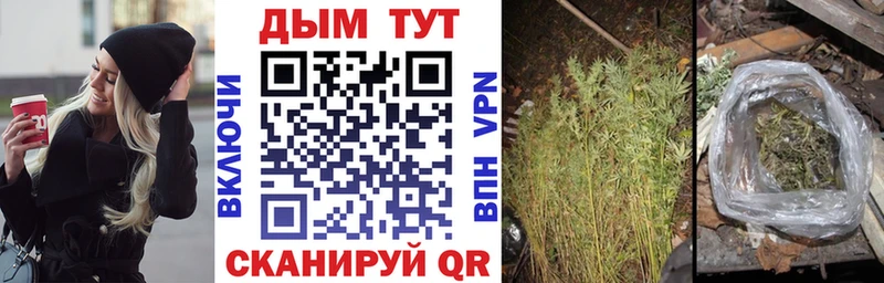 Бошки марихуана Bruce Banner  Северодвинск 